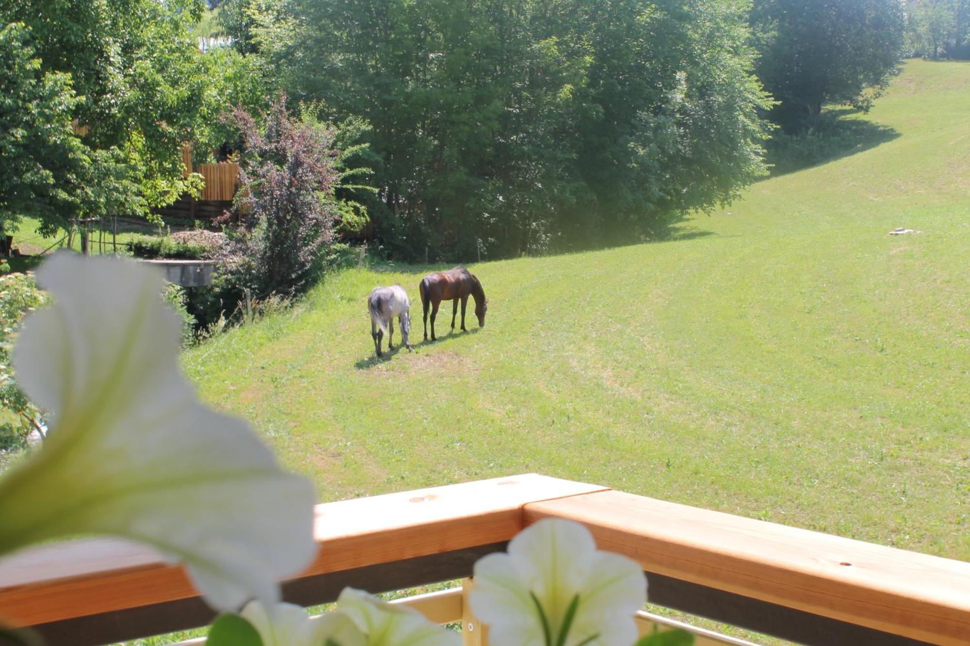House Gabrijel With Four Seasons Outdoor Kitchen Villa Bled Luaran gambar